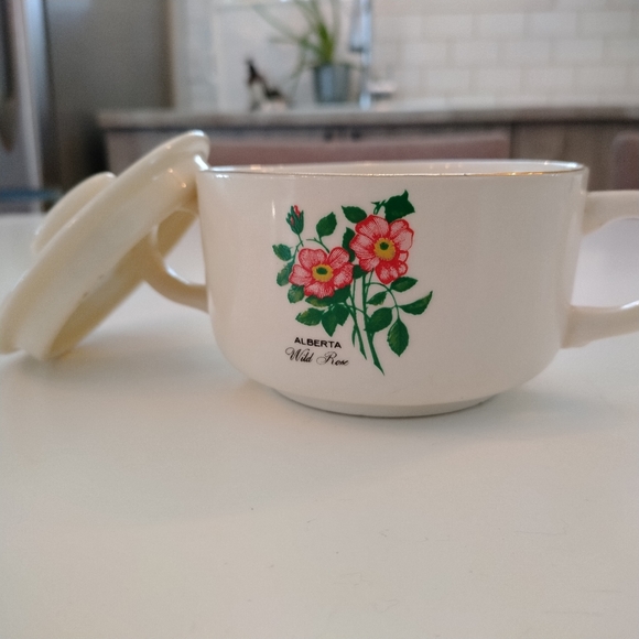 Antique Wild Rose Alberta souvenir dish 22k double handled bowl with lid - Picture 7 of 13